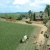 Busch Gmbh And Co Kg Corn Field -- Kit - 3-15/16 X 3-15/16" 10 X 10cm - HO -Model Train Toy Store lg189 1202